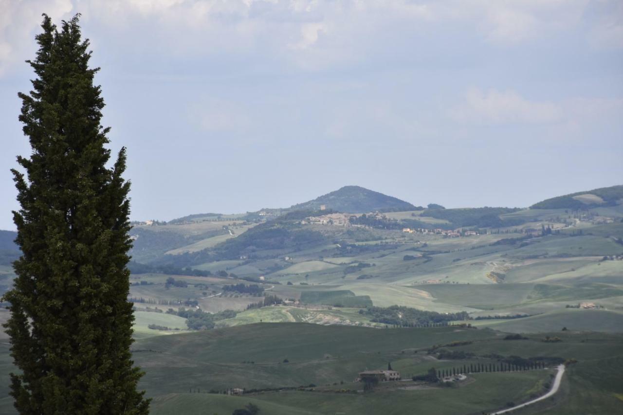 Villa La Torre House San Quirico dʼOrcia Exterior foto